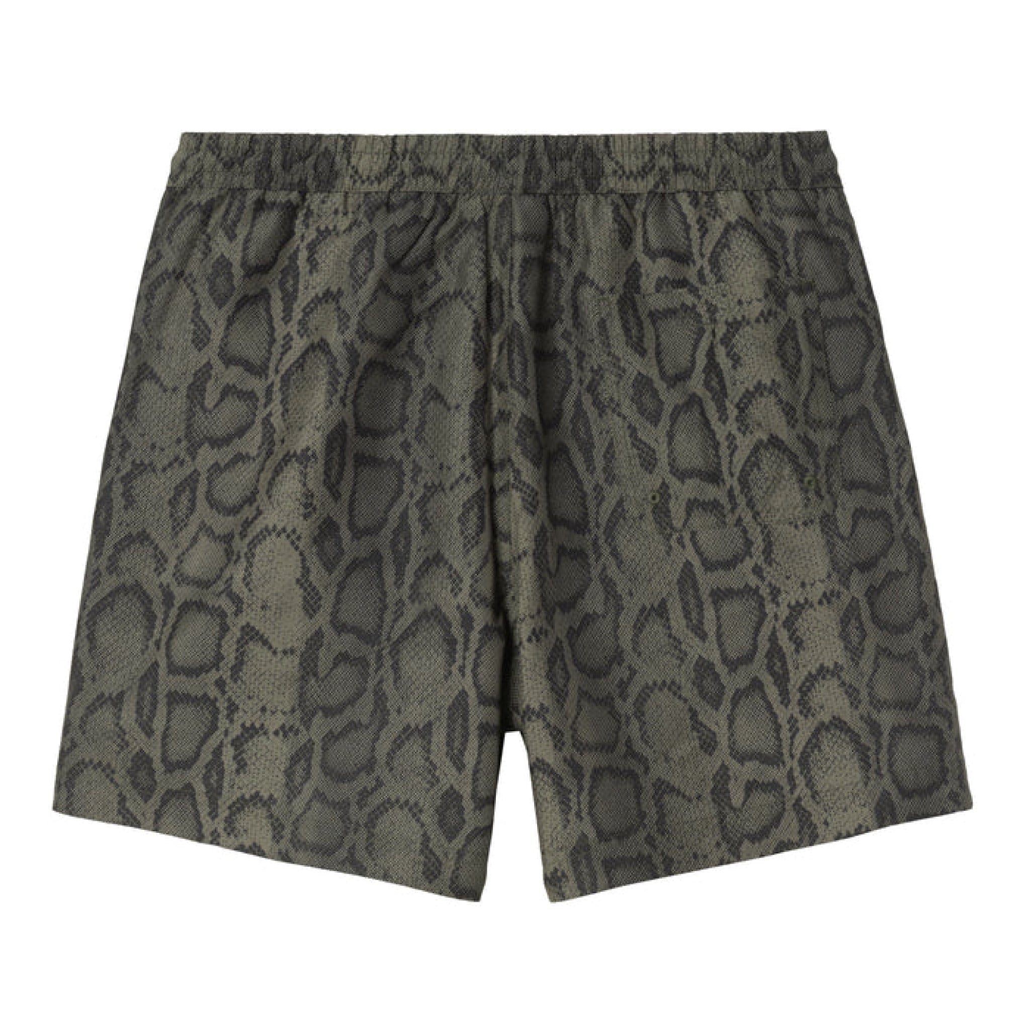 Carhartt Slater Swim Trunks