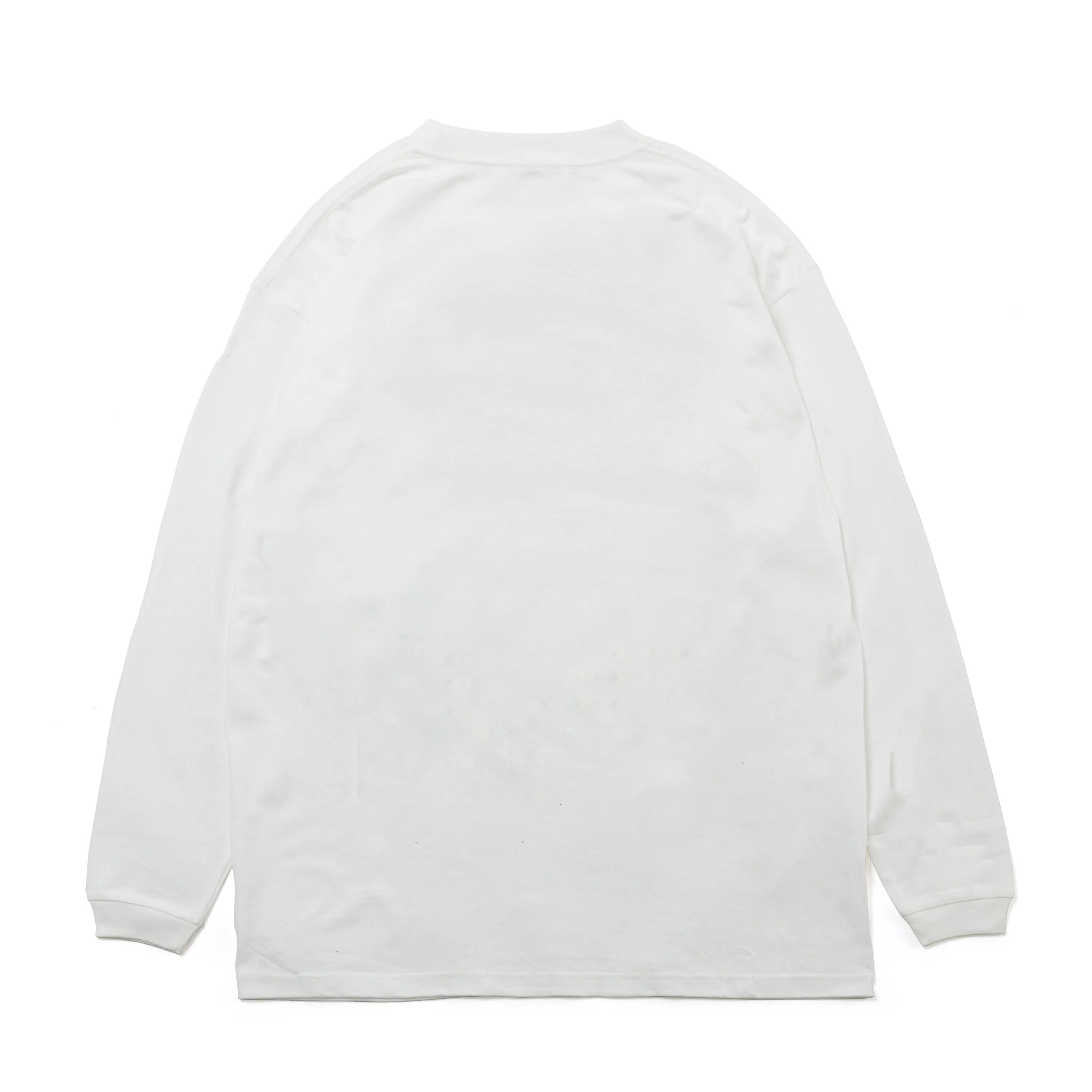 430 AF "MOUNT PENGUIN" EMB L/S TEE